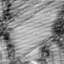 040306BW
