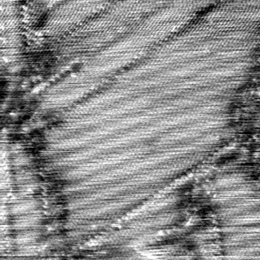 040306CA
