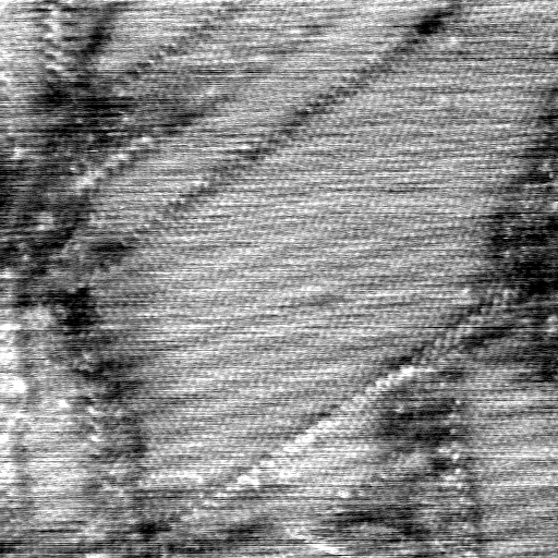 040306CG