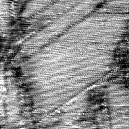 040306CG
