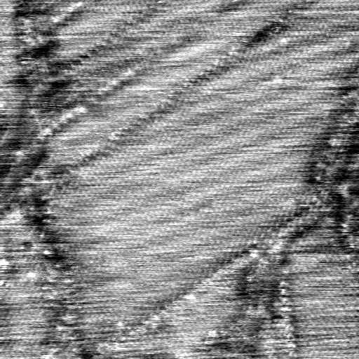 040306CO