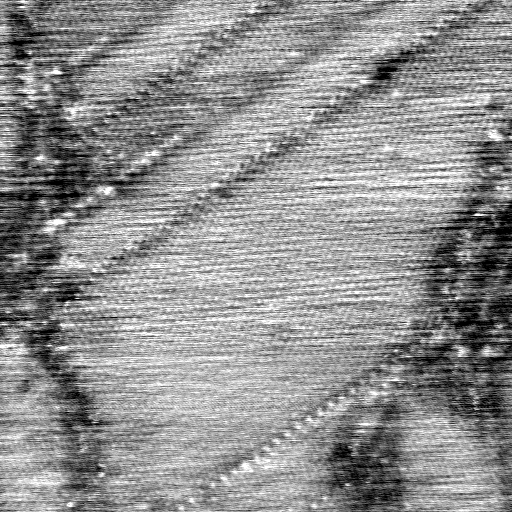 040306CW