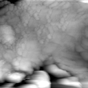 04030700AF