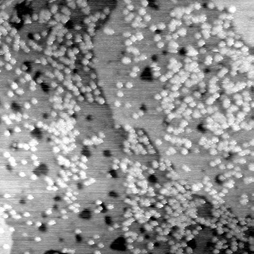 04140500BG