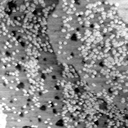 04140500BG