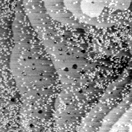 04140500BU