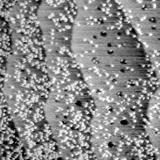 04140500BV