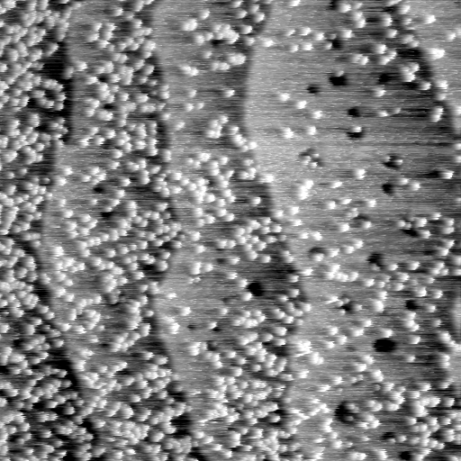 04140500BW