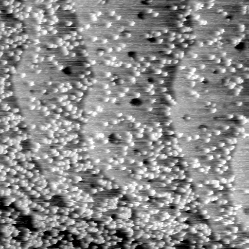 04140500BX