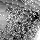 04140500CE