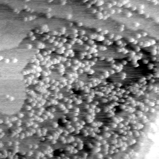 04140500CE