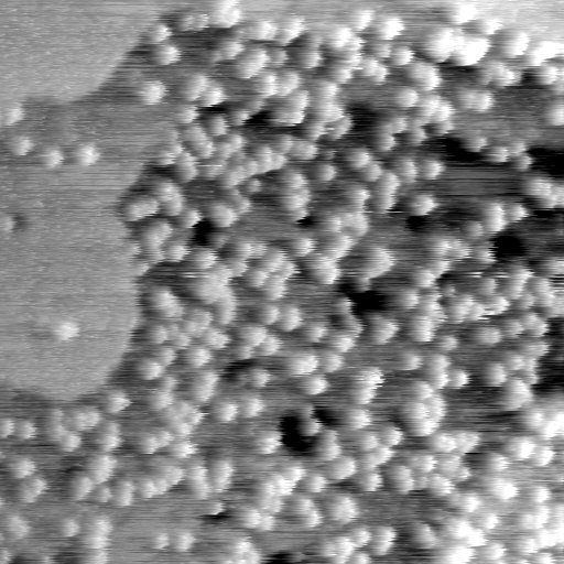 04140500CG