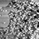 04140500CG
