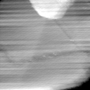 051005BP