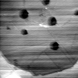 051005BR