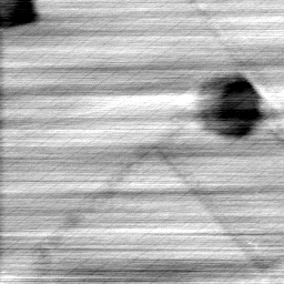 051005BS