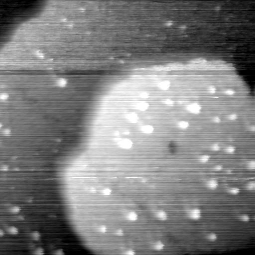 06250700AK