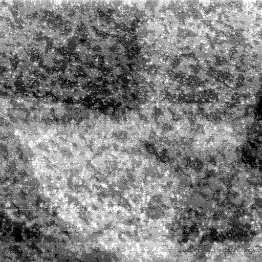 07080900AA