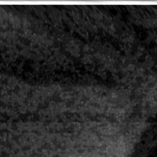 07080900AD