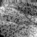 07080900AE