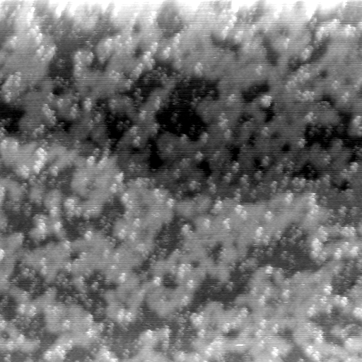 07080900AG