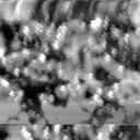 07080900AI