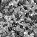 07080900AN