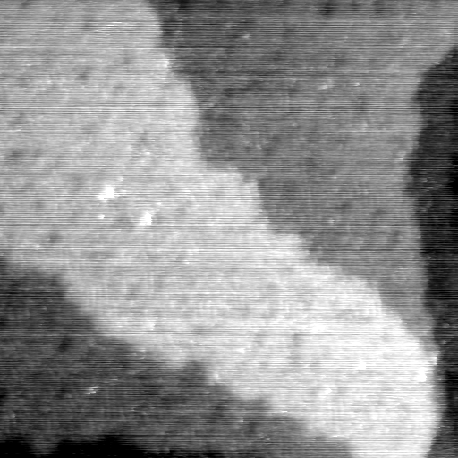 07110700AZ