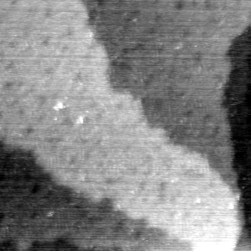 07110700AZ
