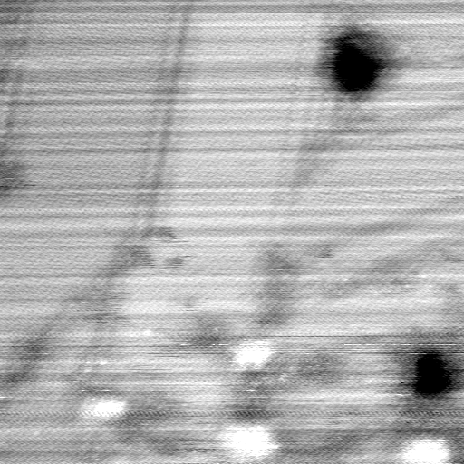 071107BW