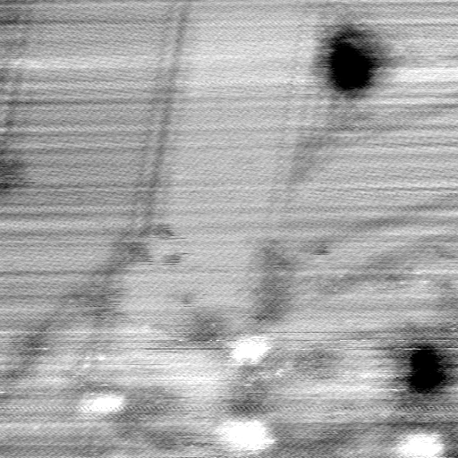 071107BW
