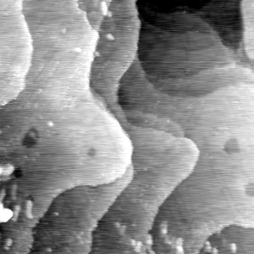07140800AD