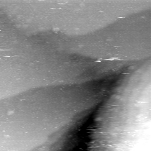 08100900AB