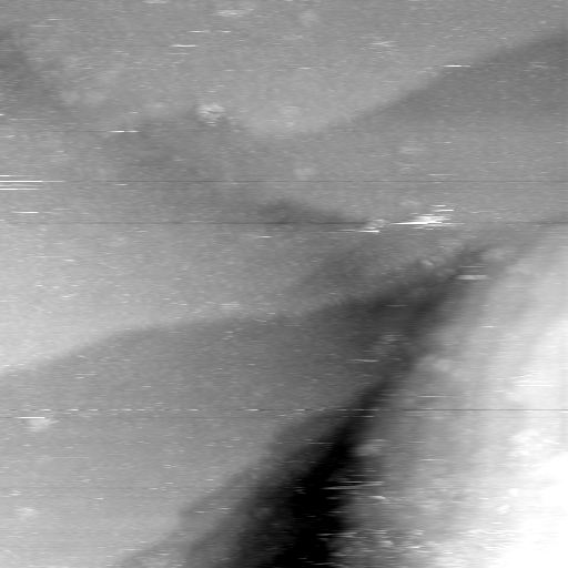 08100900AB