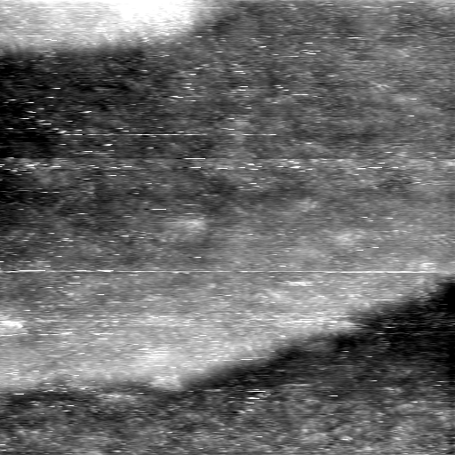 08100900AE