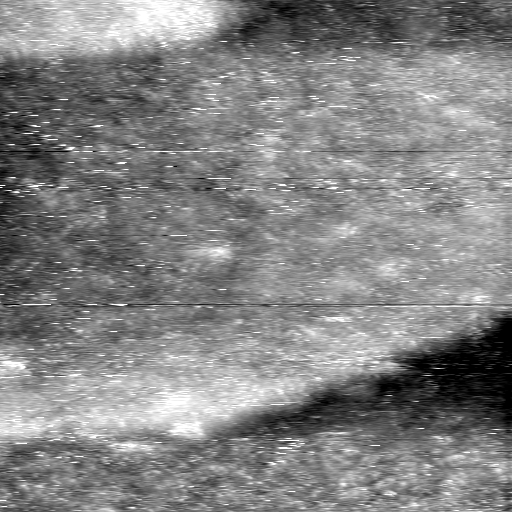 08100900AE