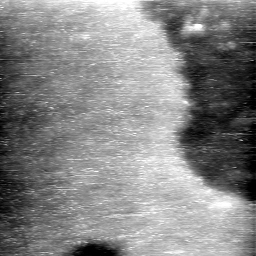 08100900AI