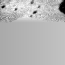 08100900AN