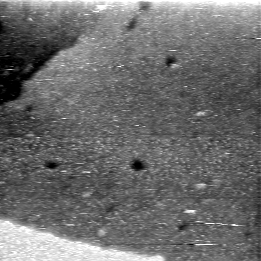08100900AP