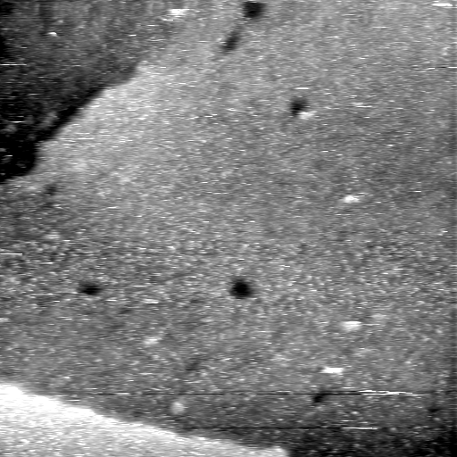 08100900AP