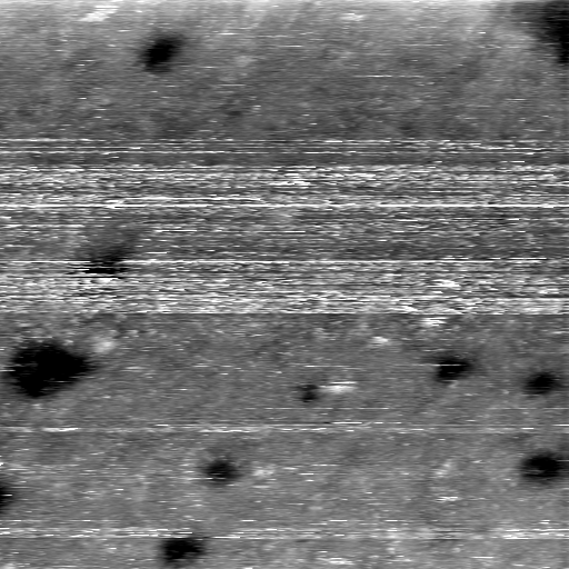 08100900AS