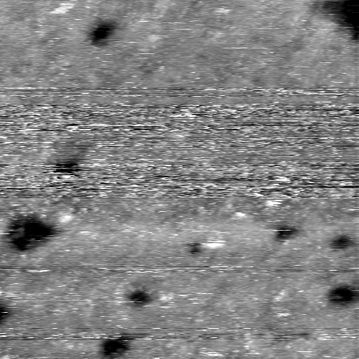 08100900AS