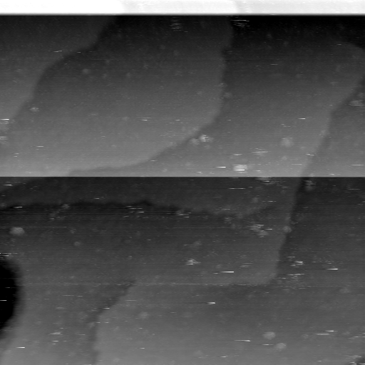 08100900AV