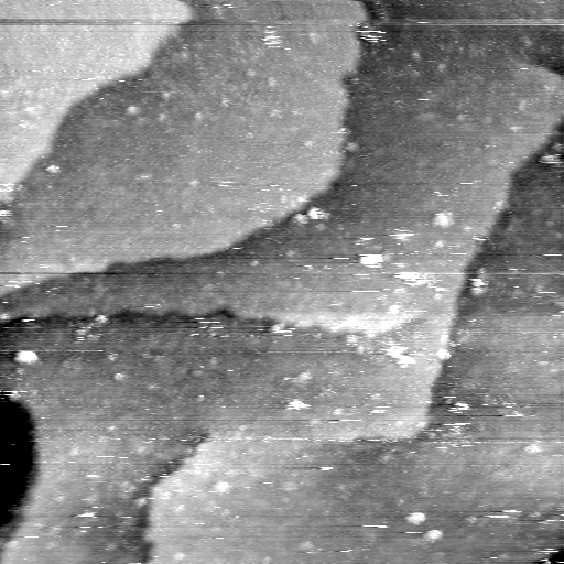08100900AV