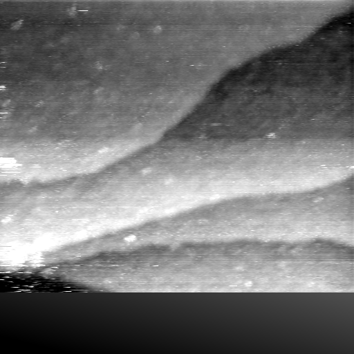 08100900AW
