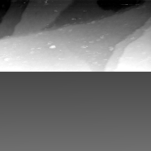 08100900AY