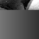 08100900AZ