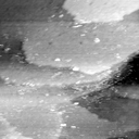 08100900BA