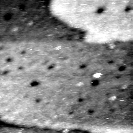 08100900BC