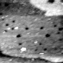 08100900BD